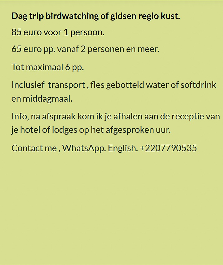 Flyer dagtrip birdwatching aan de kust in Gambia. Prijs €85 voor 1 persoon of €65 p.p. vanaf 2 perso
