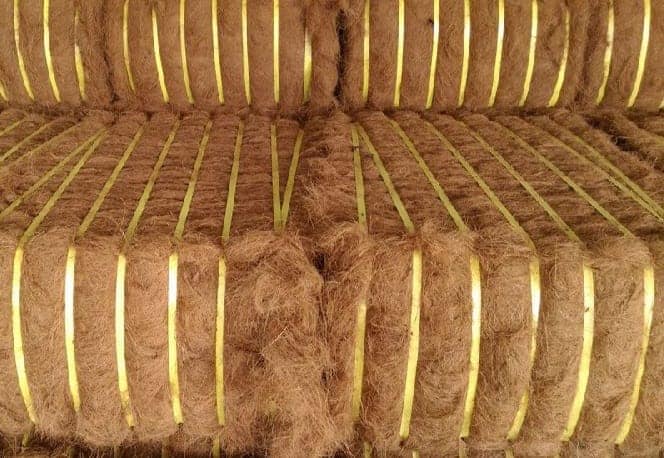 Coco Fiber