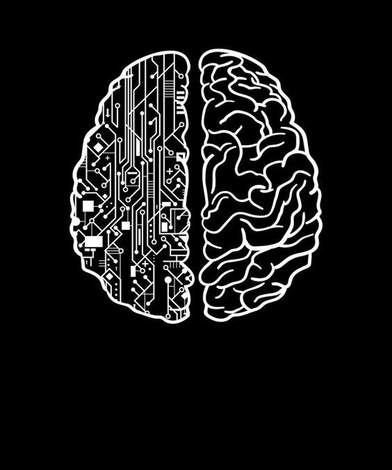 brain image showing the intersection of the digital and human world