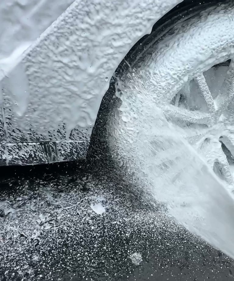 tire and rim cleaning of black sports car