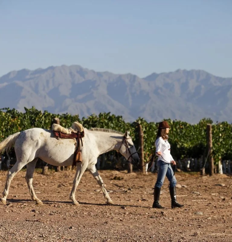 Turismo rural en San Rafael Mendoza