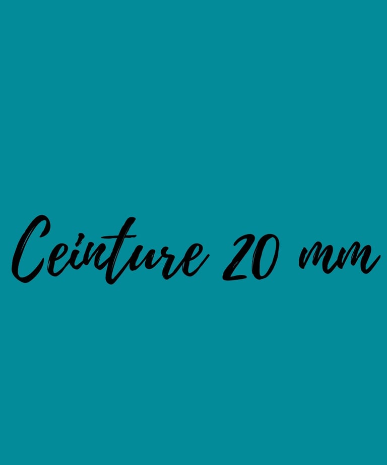 image de la catégorie ceinture 20 mm en cuir revalorisé