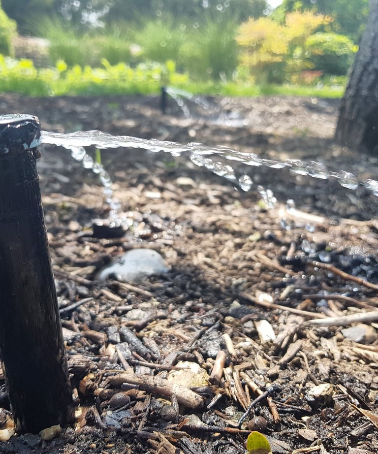 Automatic garden sprinkler head spraying water on wood mulch to irrigate outdoor landscaping.
