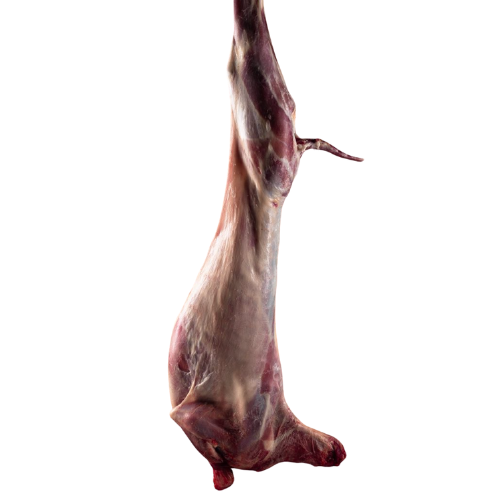 Halal-certified mutton carcass—cleanly processed and packed for export with strict hygiene standards