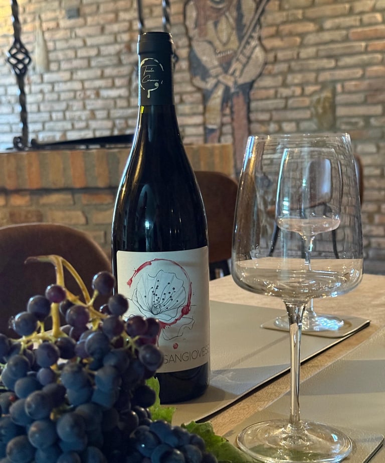 degustazioni cantina bertinoro romagna sangiovese