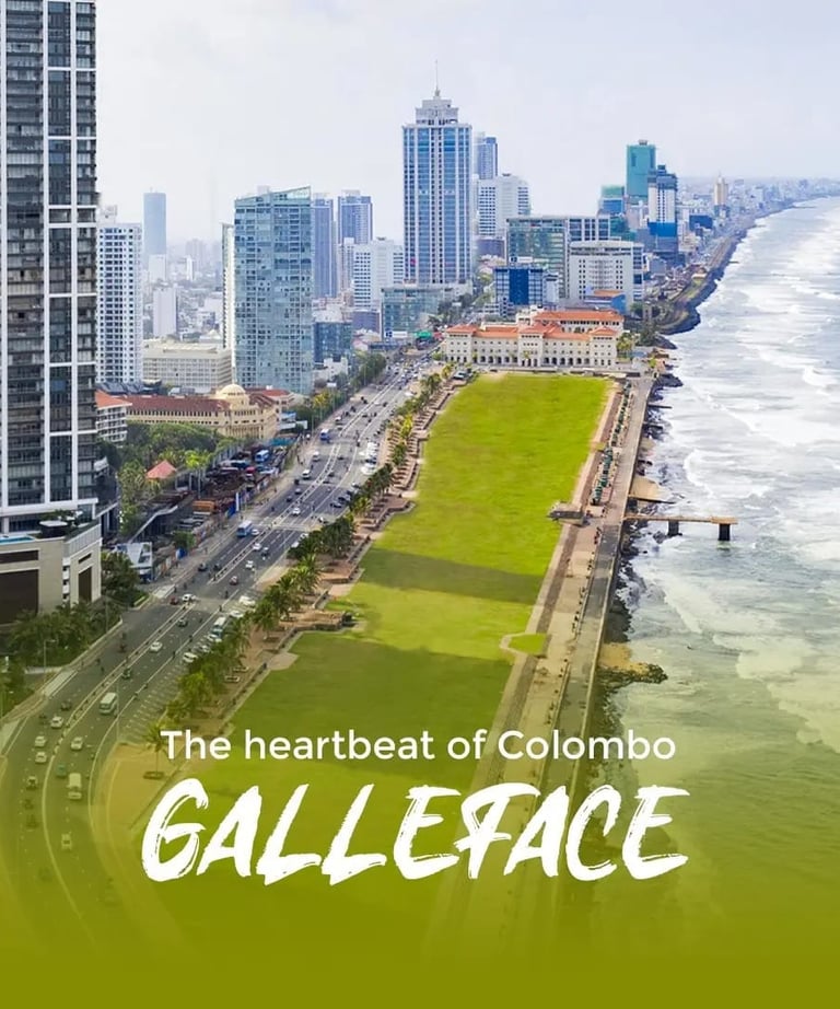 Best way to explore Colombo in one day. Highly recommend their tuk-tuk tours!