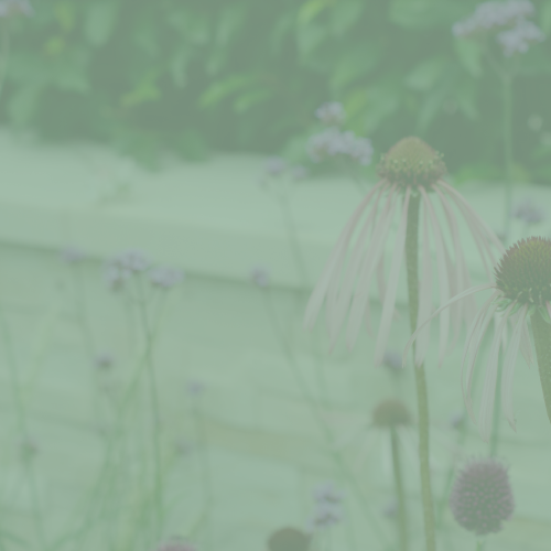 Virtual Assistant: Technical & Specialist Services