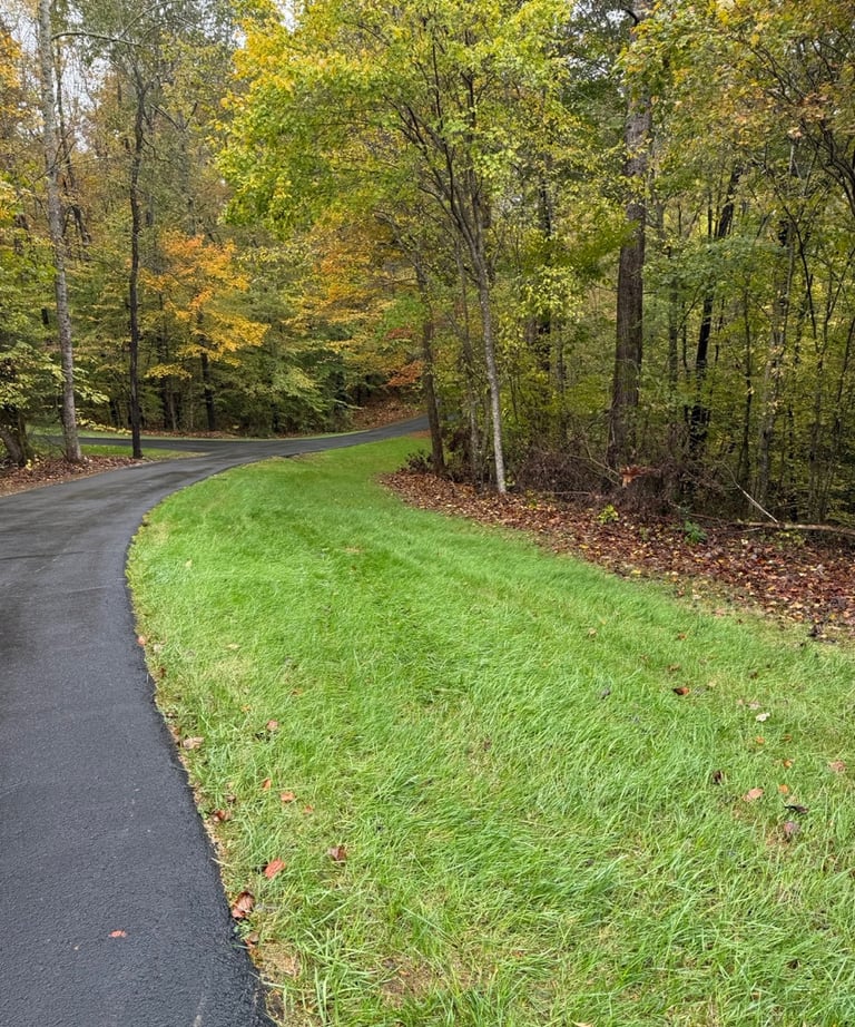 Organic Tall Fescue Lawn in Orange County, NC