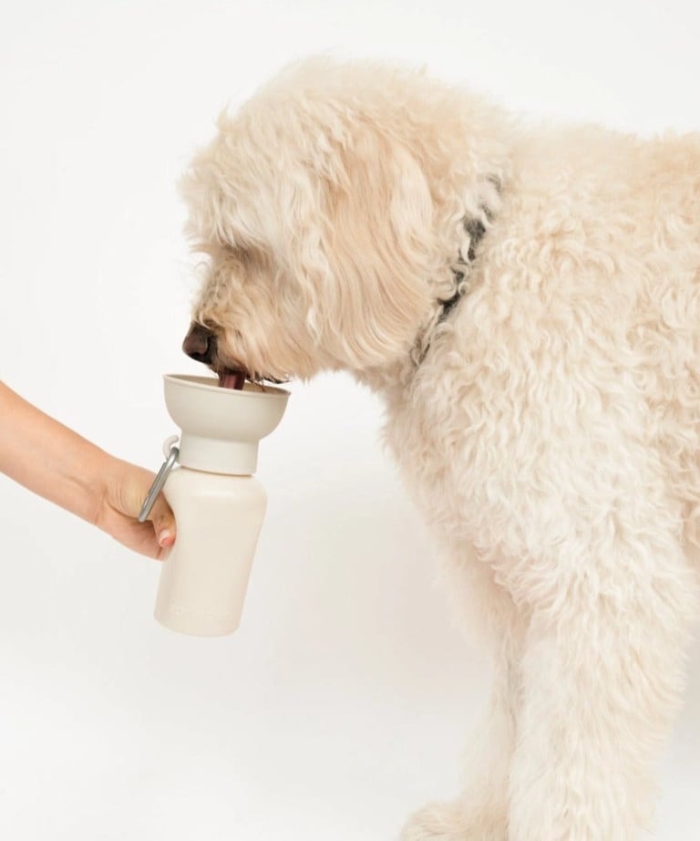 dog water bottle, silicone dog water bottle with cup, dog water bottle with cup, 20oz