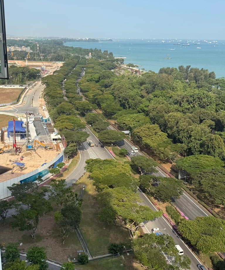 Aerial view of East Coast Park Singapore showing a coastal highway, lush green trees, and ships at sea.