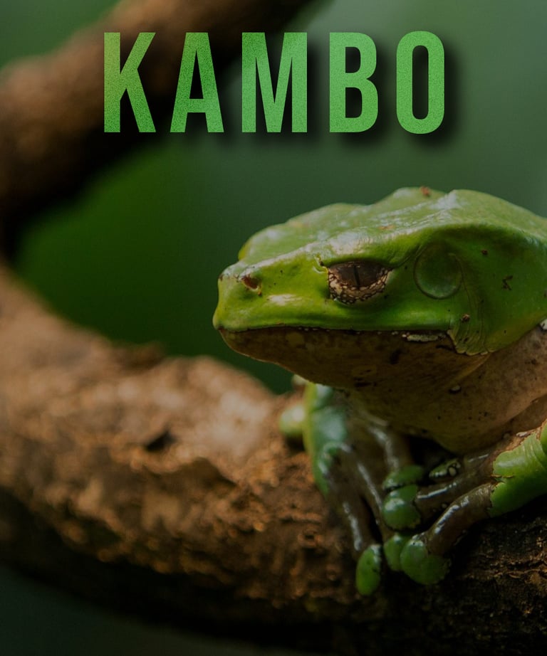 kambo BC