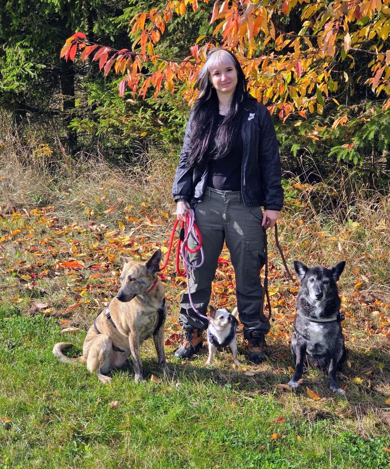 Mel von Randalehunde mit 3 Hunden