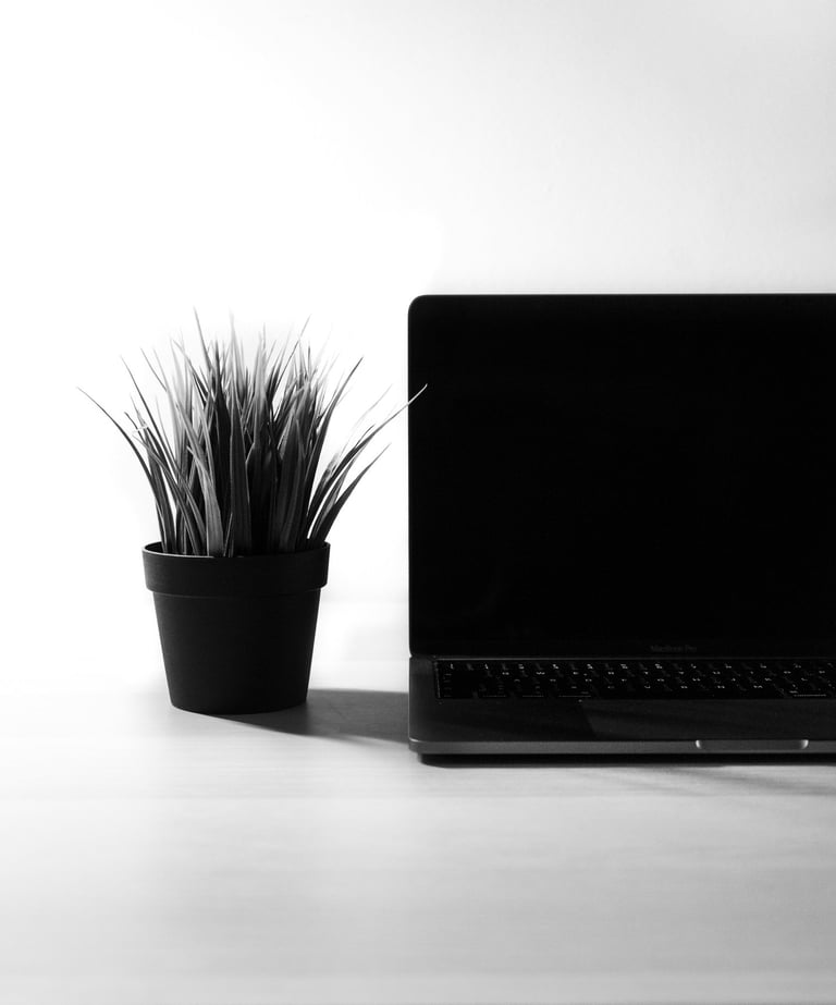 a laptop computer sitting on a desk with a potted plant