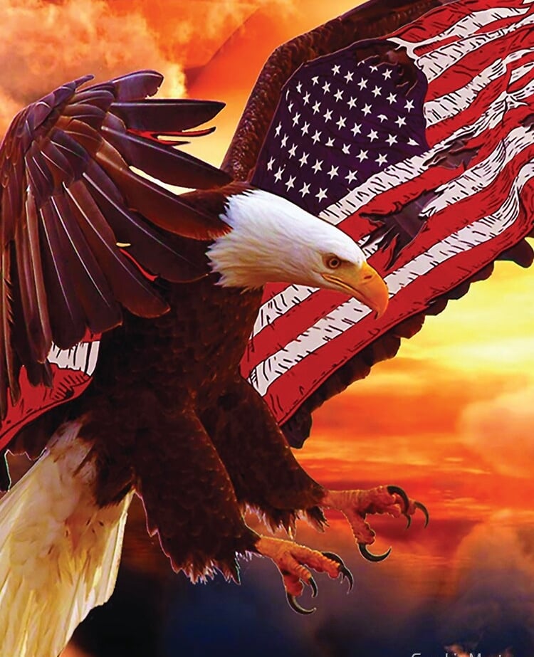 Bald Eagle with American Flag wings
