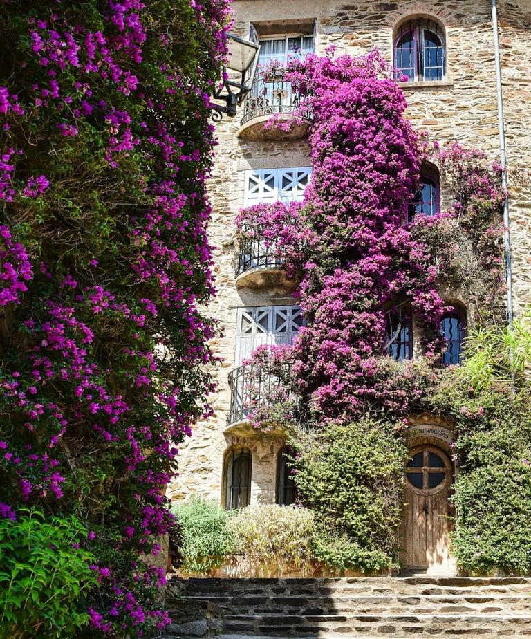 Charming stone house in Bormes-les-Mimosas