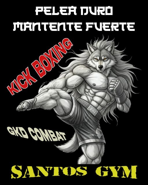 clases kick boxing palma 