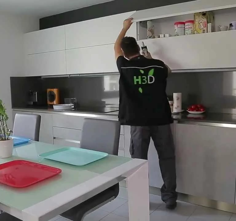 désinsectisation blattes et cafards a Nice