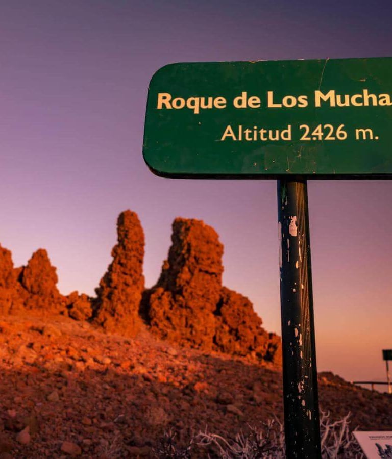 Roque de Los Muchachos