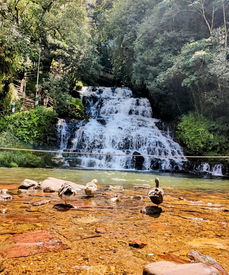 Elephant Falls, Third Tier – Shillong’s Grand Waterfall Finale in Full Flow