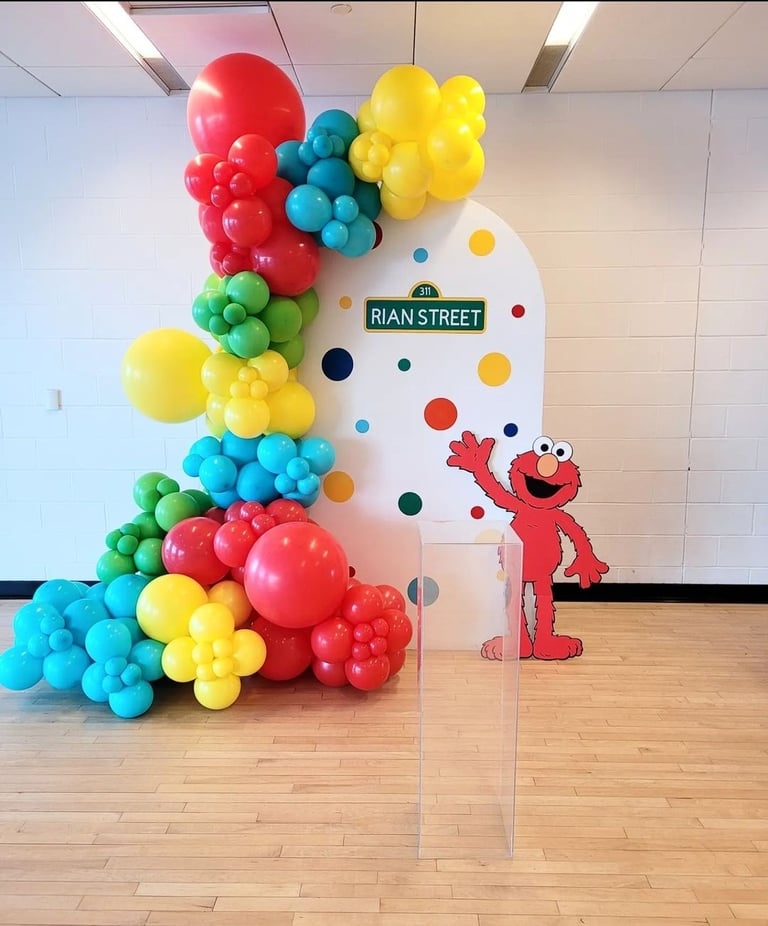 Sesame street themed balloon backdrop rental
