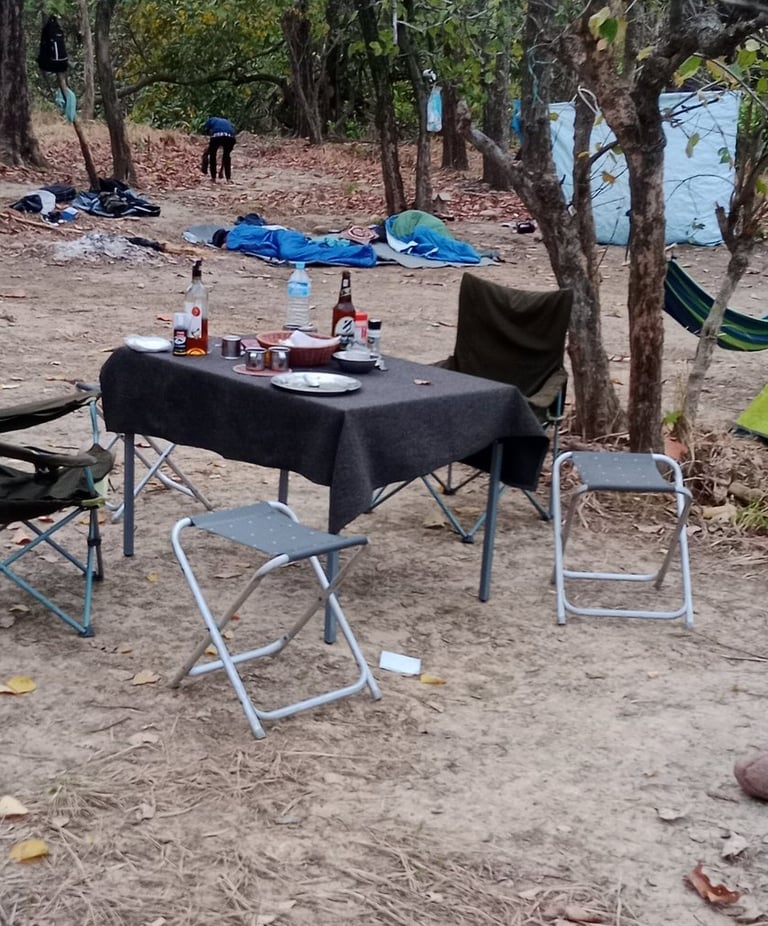 picnic in Bardiya park