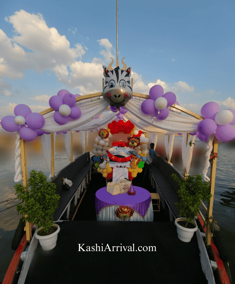 Premium Decorated Canopy Motor Boat