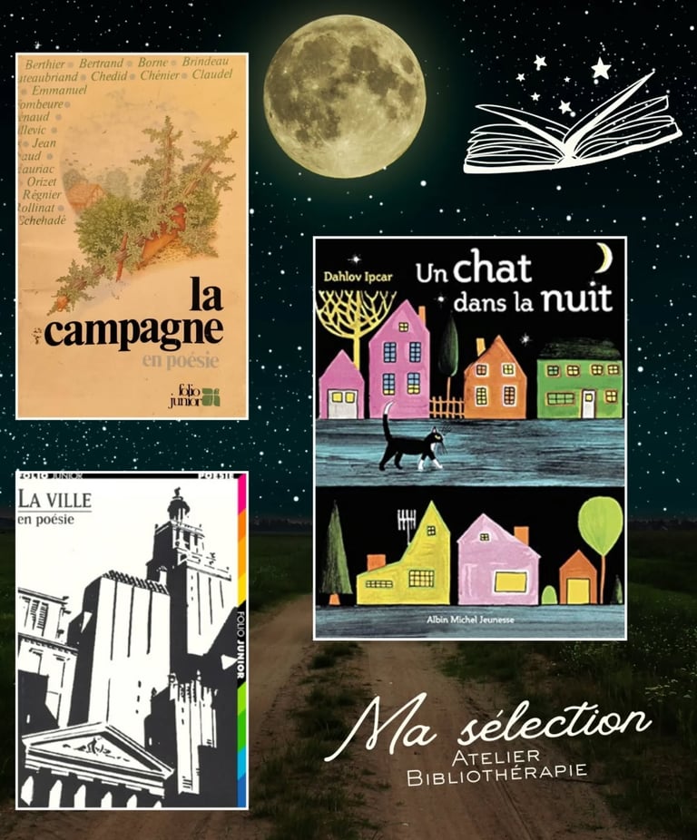 livres bibliothérapie poésie ville campagne nuit