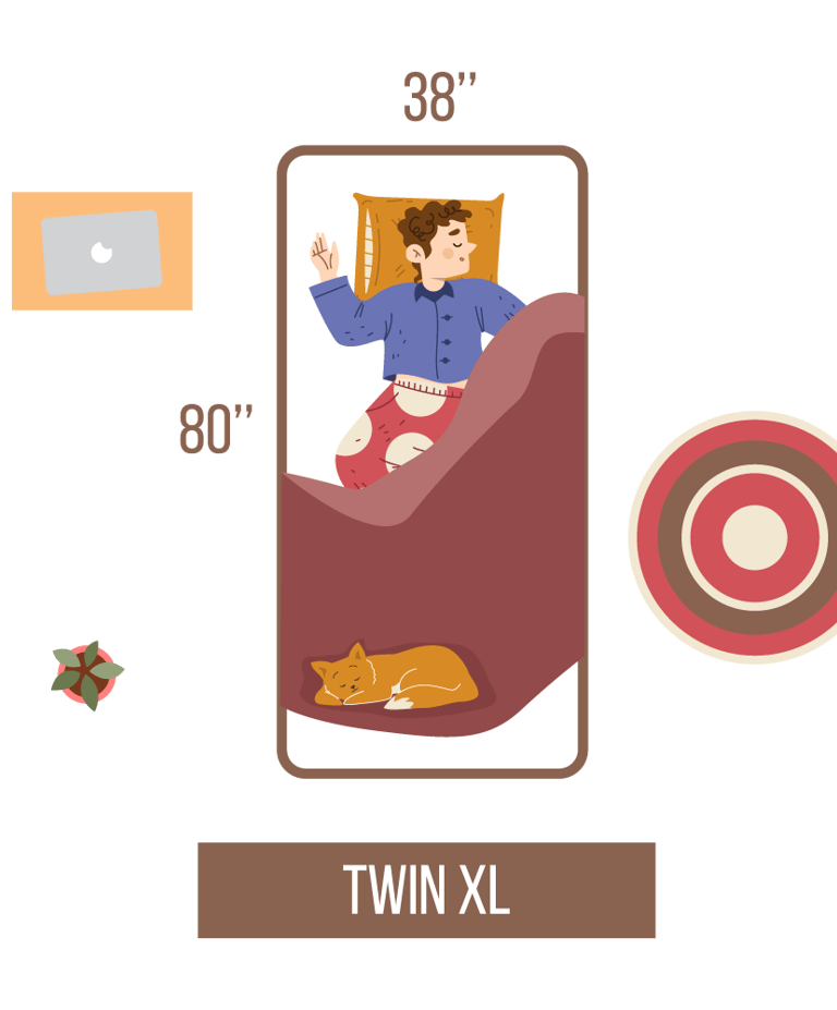 Vector Flat Illustration Twin XL Mattress Size and Dimensions