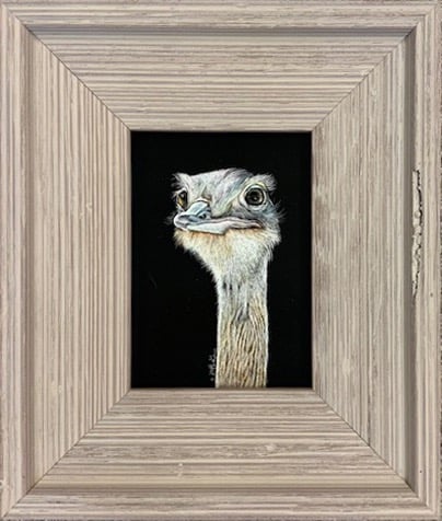 A detailed rhea portrait painting on black scratchboard inside a rustic grey wooden frame.