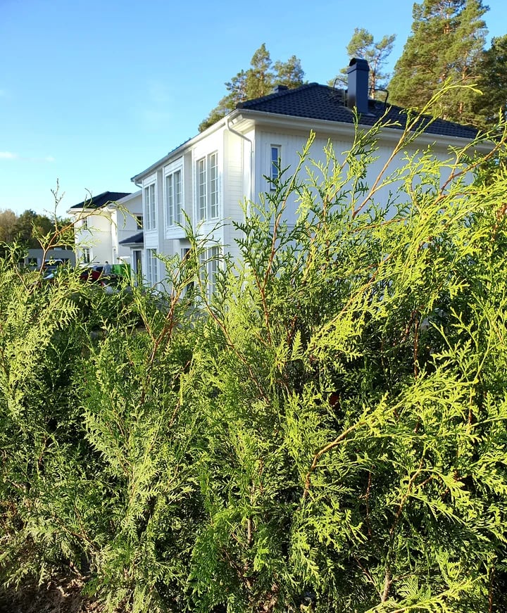 Häckplantering åkersberga