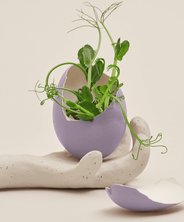 Nieuw begin na doorbreken systemische patronen onderwijs.