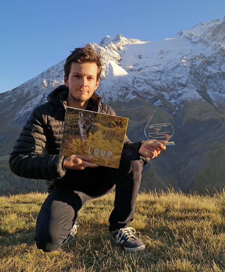 Loup, une vie en meute dans les Ecrins