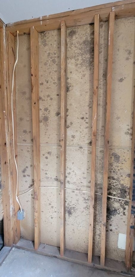 Mold discovered inside wall cavity