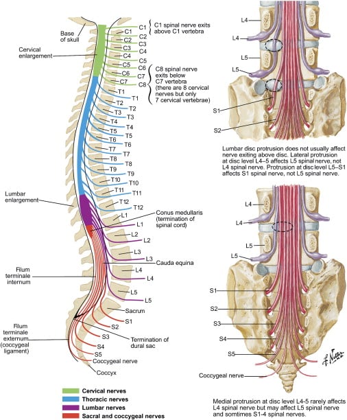 Vetrivel Health center best chiropractic and varamam theraphy 