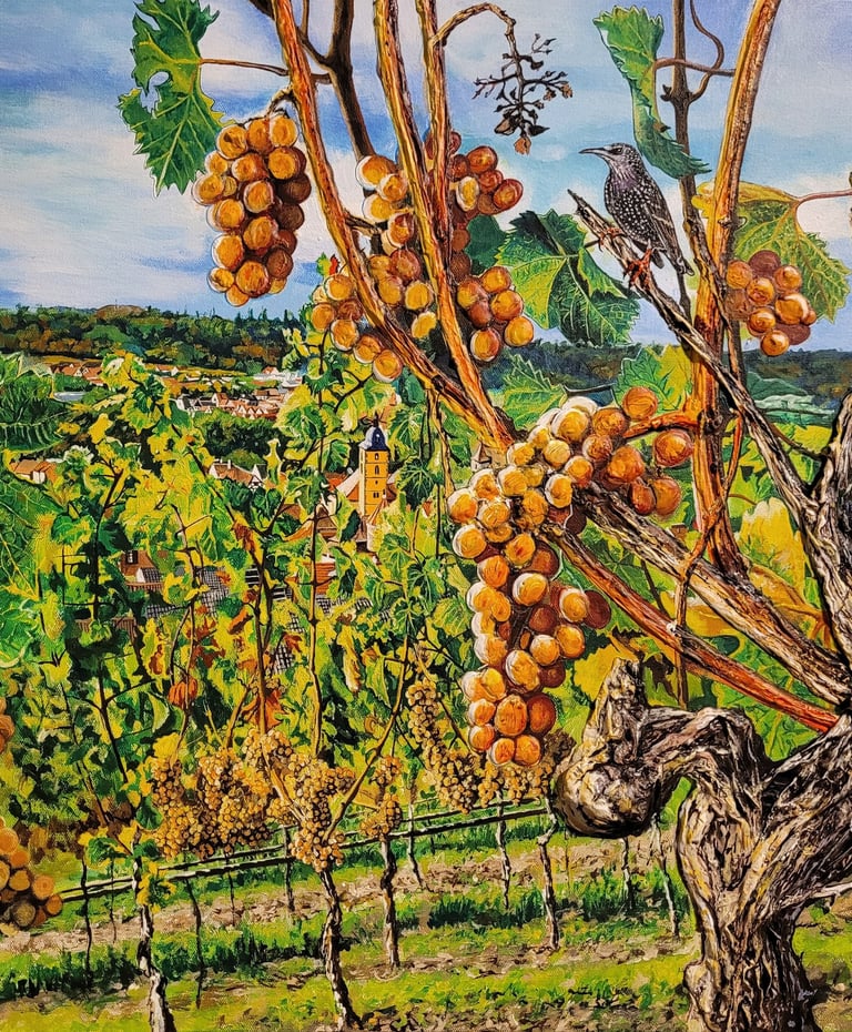 Álvaro Fernández Sáez Herbst in Sommerhausen Weinrebe Trauben