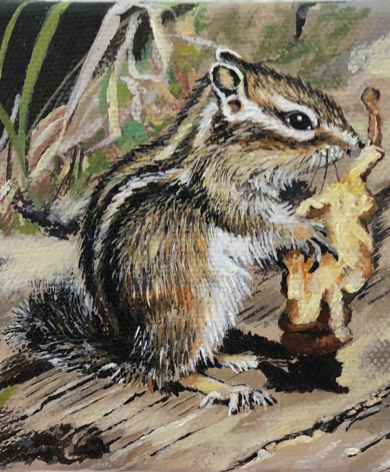 Álvaro Fernández Sáez Streifenhörnchen Apfel