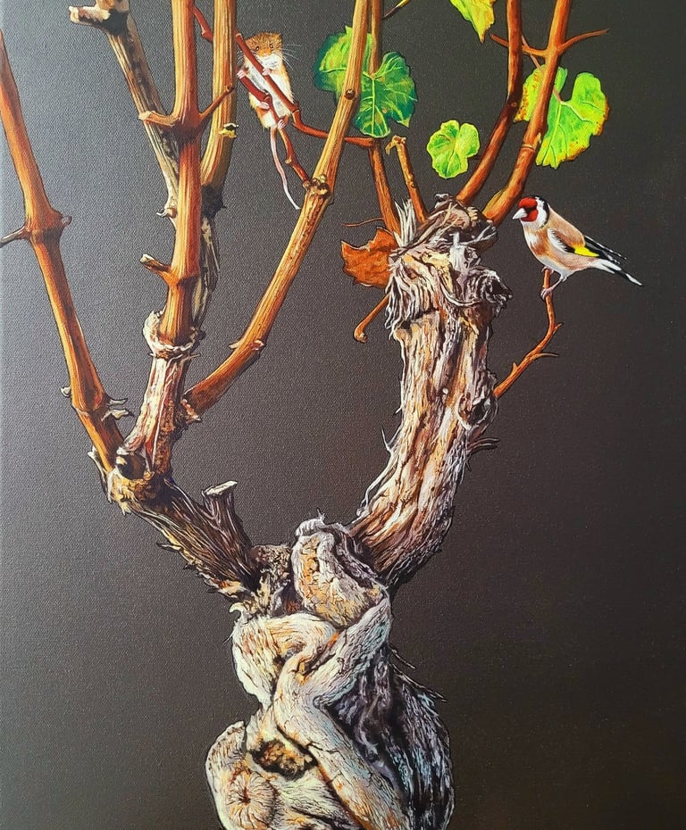 Álvaro Fernández Sáez Weinrebe Vogel Maus