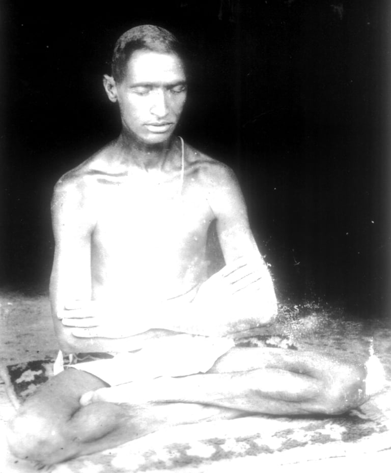 Il "Vecchio" Hairakhan Baba