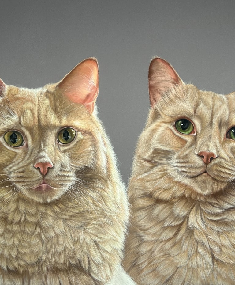 Realistische dierenportretten