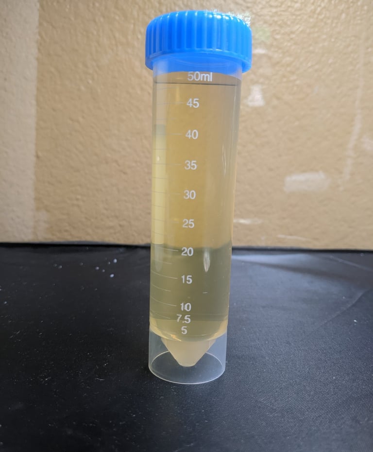 bottle of f/2 media we sell to help customers grow algae