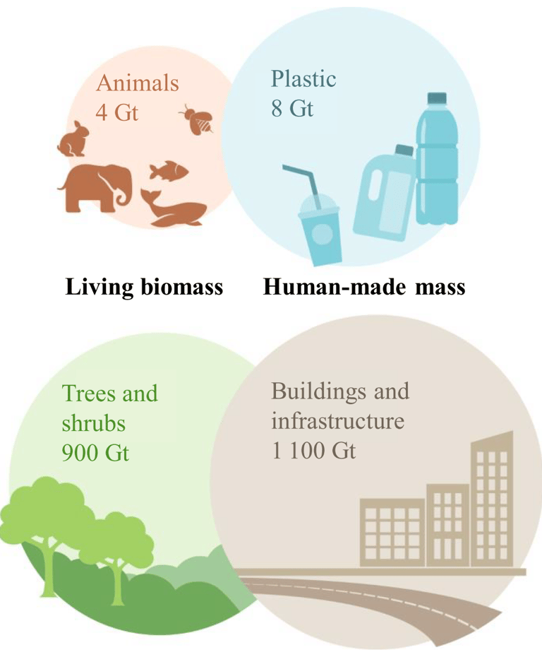 Infographic on the mass of what humans produce compared to biomass