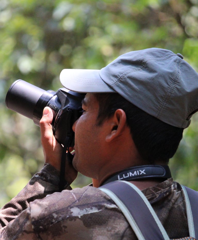 Daman photographiant un oiseau dans le Parc National de Bardiya