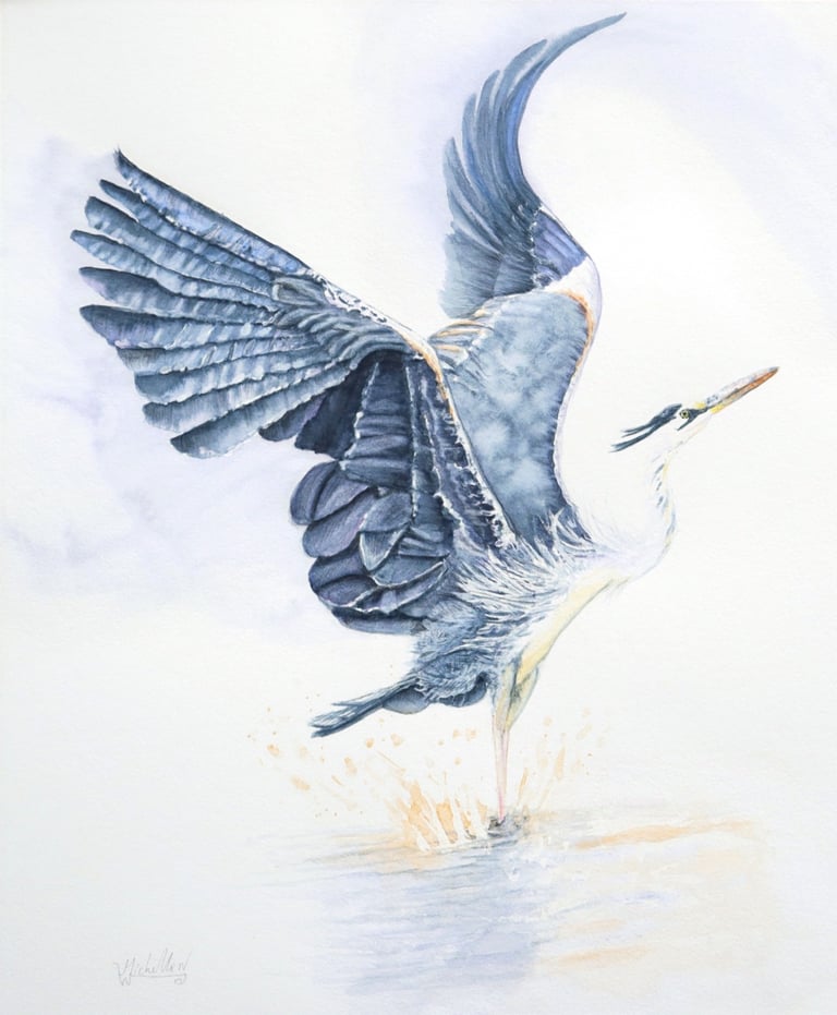 Making a Splash, Elegant Heron