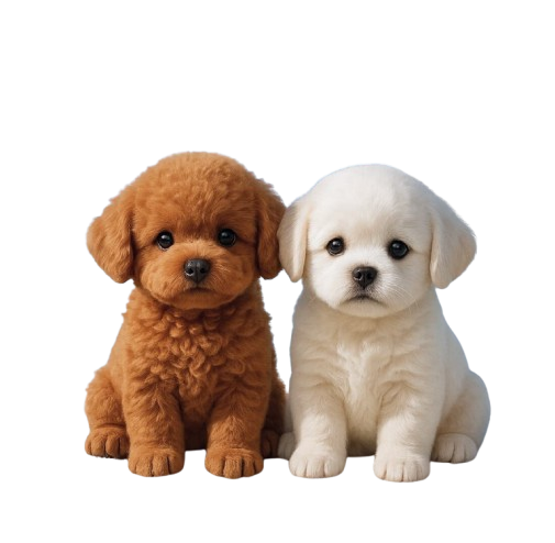 جرو Wuffy الروبوت الذكي للأطفال - يمشي وينبح ويستجيب للمس، بدون حساسية، جودة ألمانية