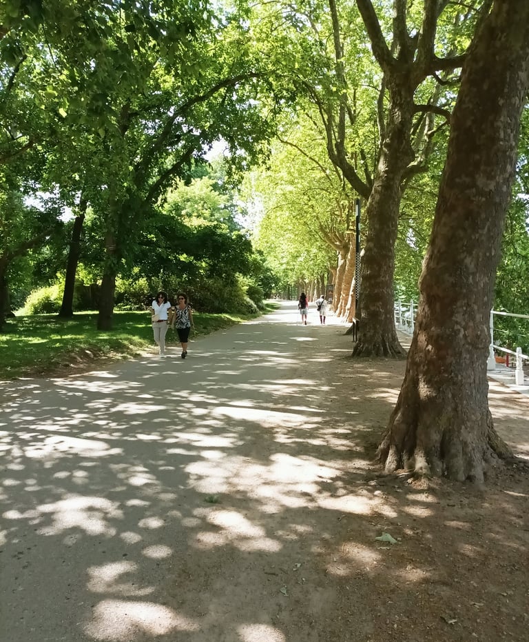 Strolling in the shade