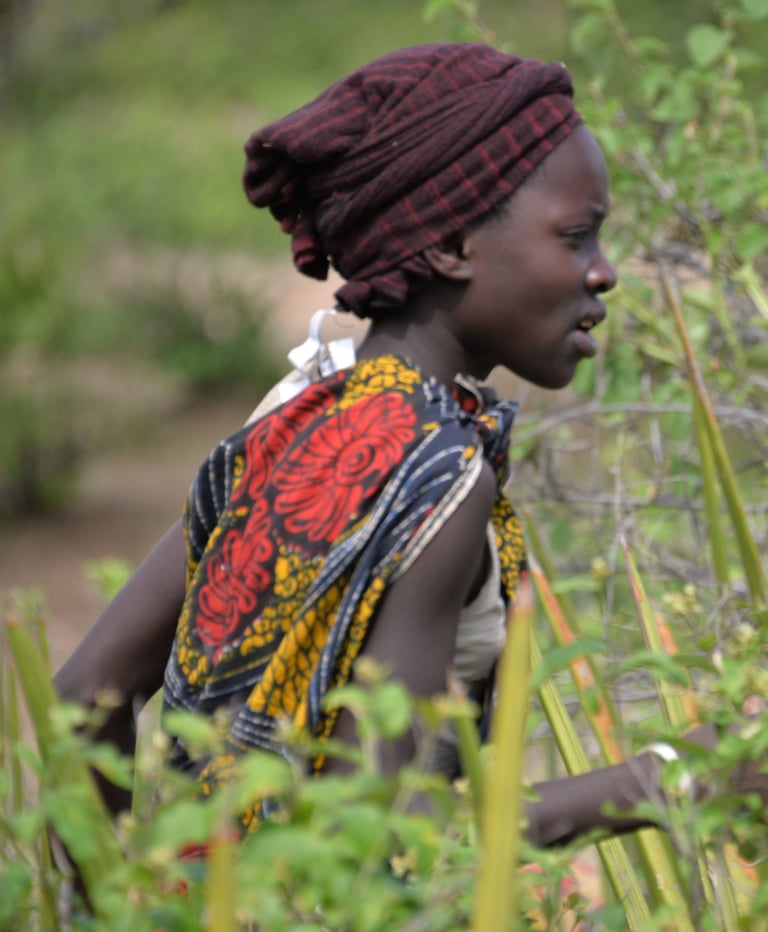 TagesausflügeTansania