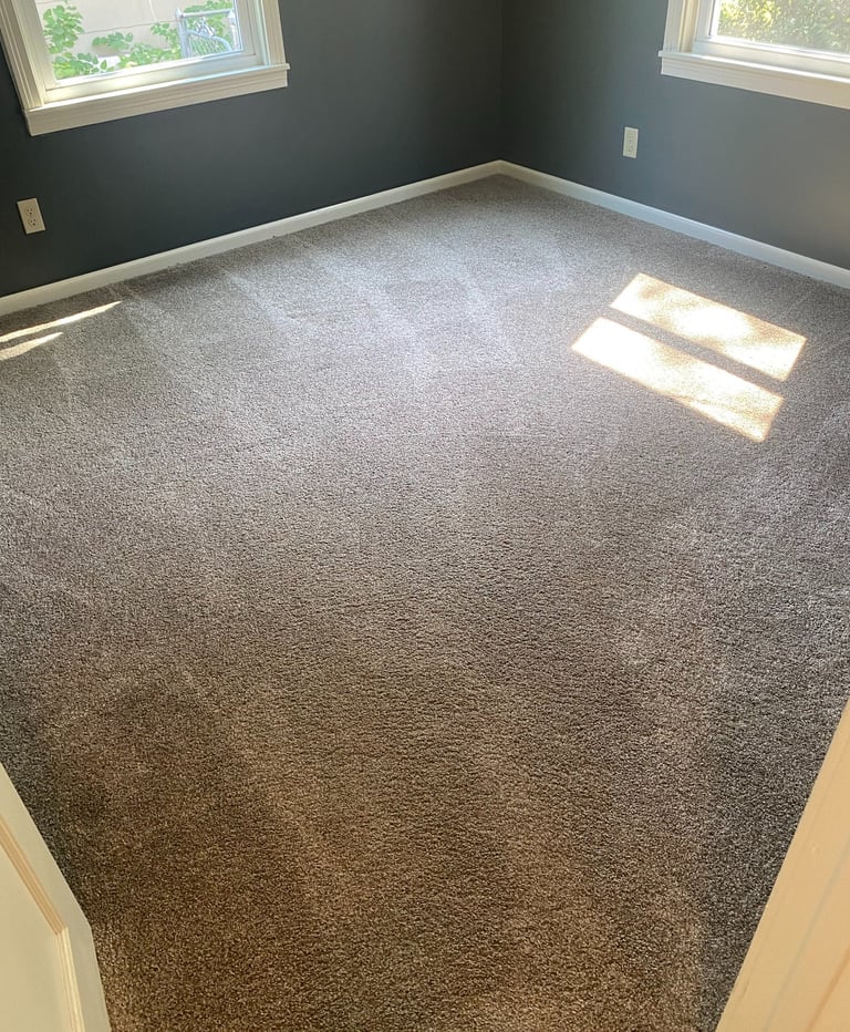 TOP QUALITY AND PROFESSIONAL CARPET STEAMING AND CLEANING IN KANSAS CITY NEWTON KANSAS AND MISSOURI