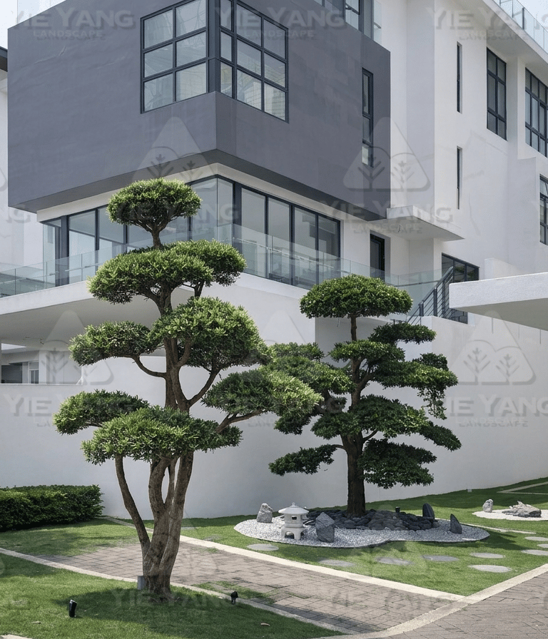 Modern residential landscape design with sculpted garden trees and zen garden by Yie Yang Landscape