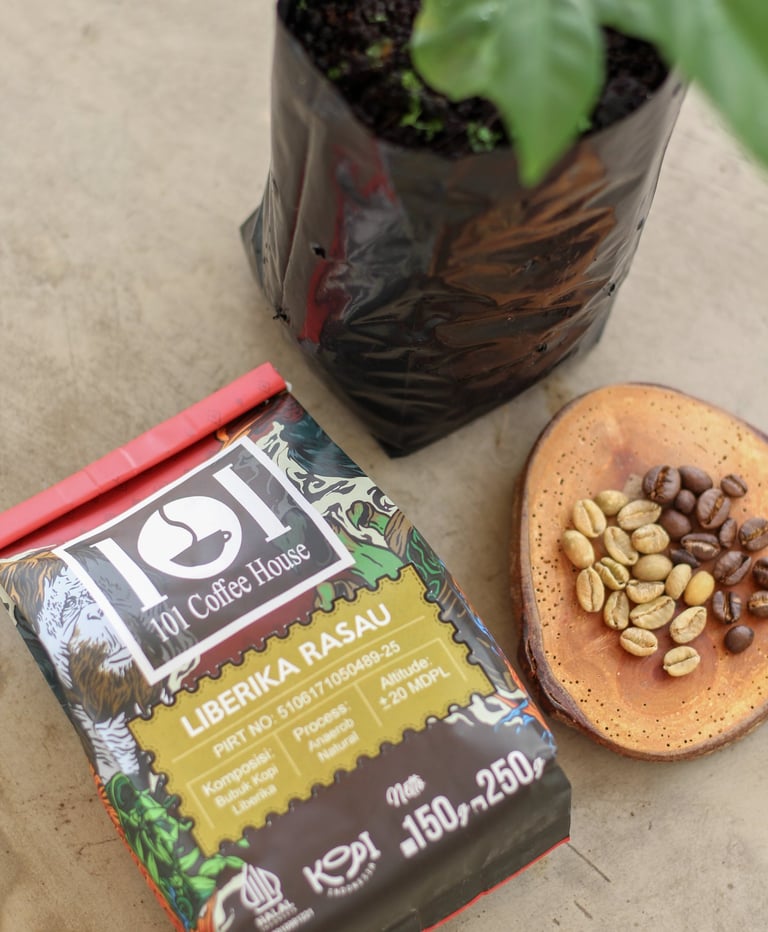 kopi liberika rasau, kuburaya, kalimantan barat produksi 101 coffee house