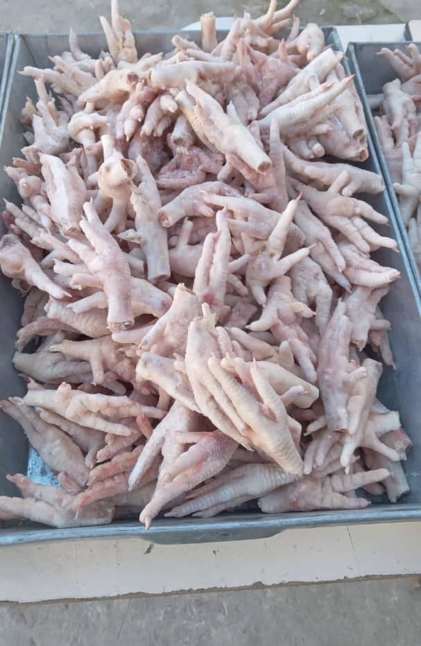 Chicken feet Exports by DGT
